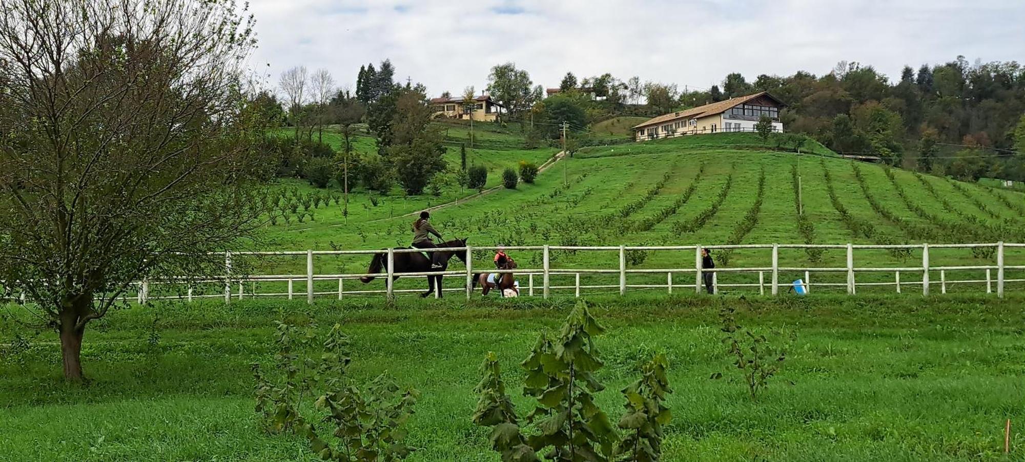 Cascina Fazioli Villa Alfiano Natta Екстериор снимка