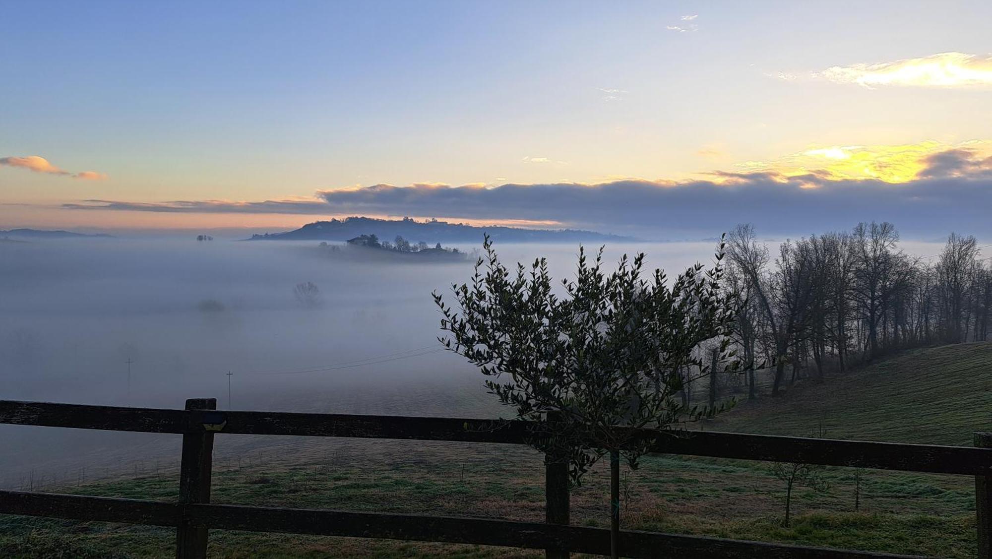 Cascina Fazioli Villa Alfiano Natta Екстериор снимка