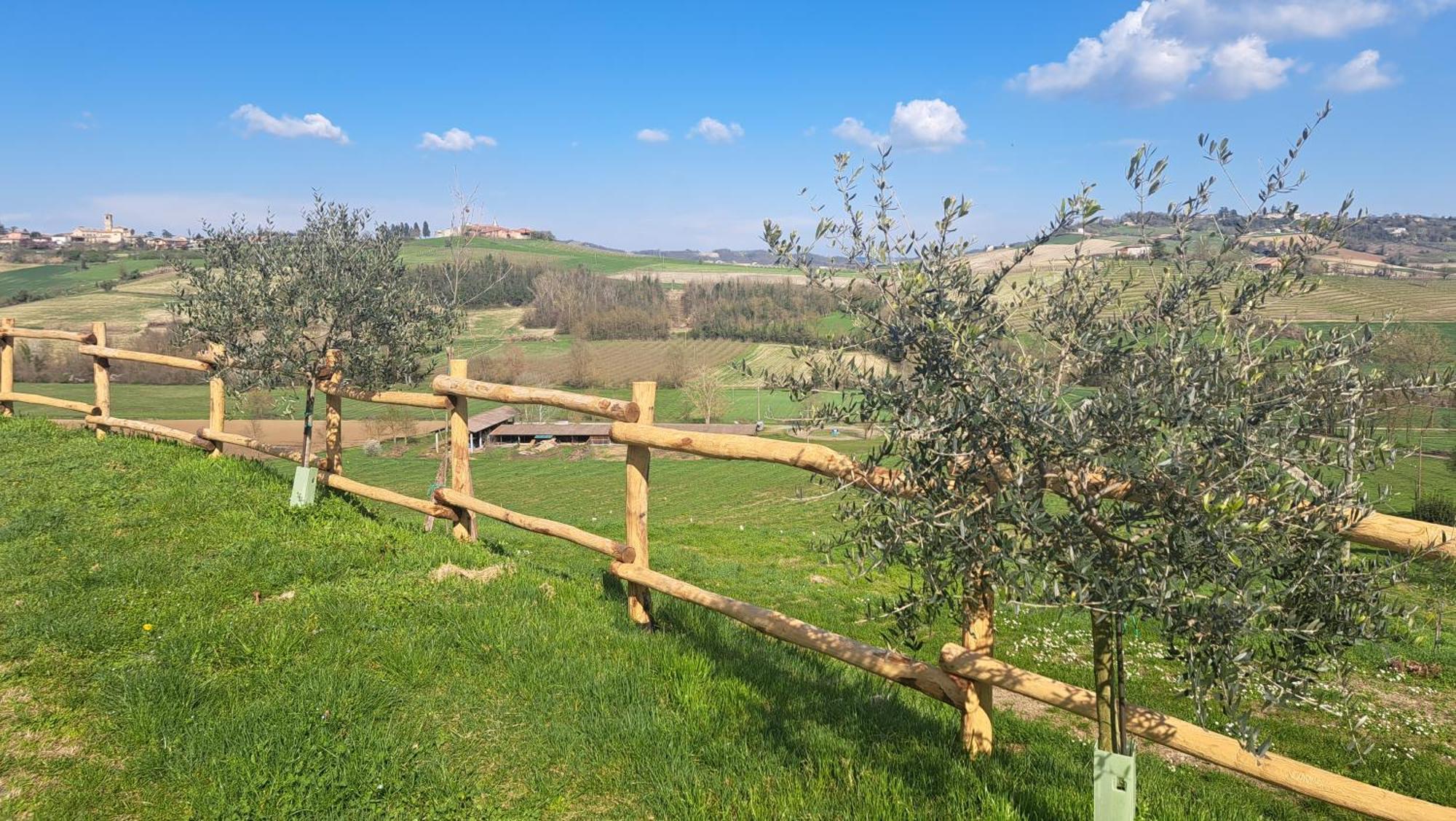 Cascina Fazioli Villa Alfiano Natta Екстериор снимка